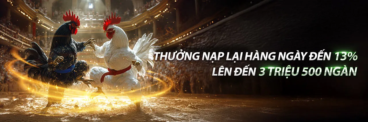 Hình ảnh cam kết cá cược có trách nhiệm của may88 đăng ký