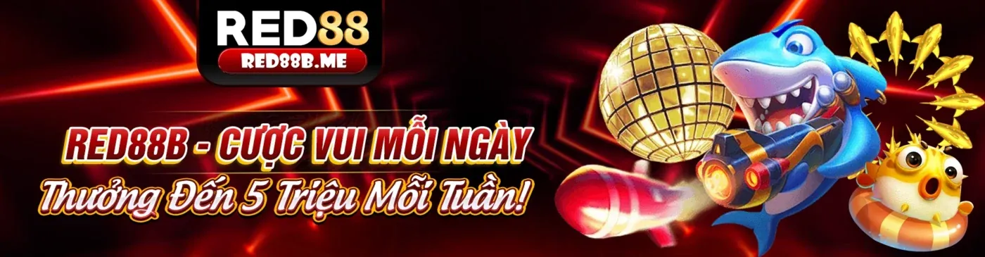 Bắt đầu hành trình săn cá tại May88